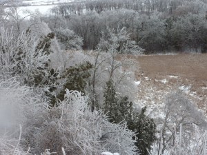 ice storm