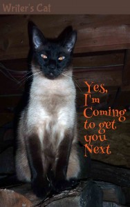 CatRedEye4Sm