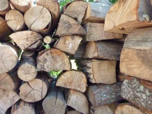 Woodpile