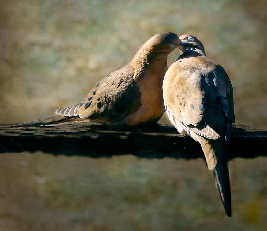 A Year of Happy Photos