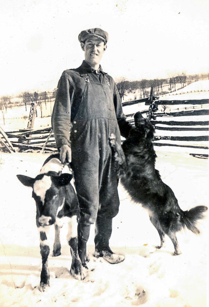 Bill-Calf-Dog